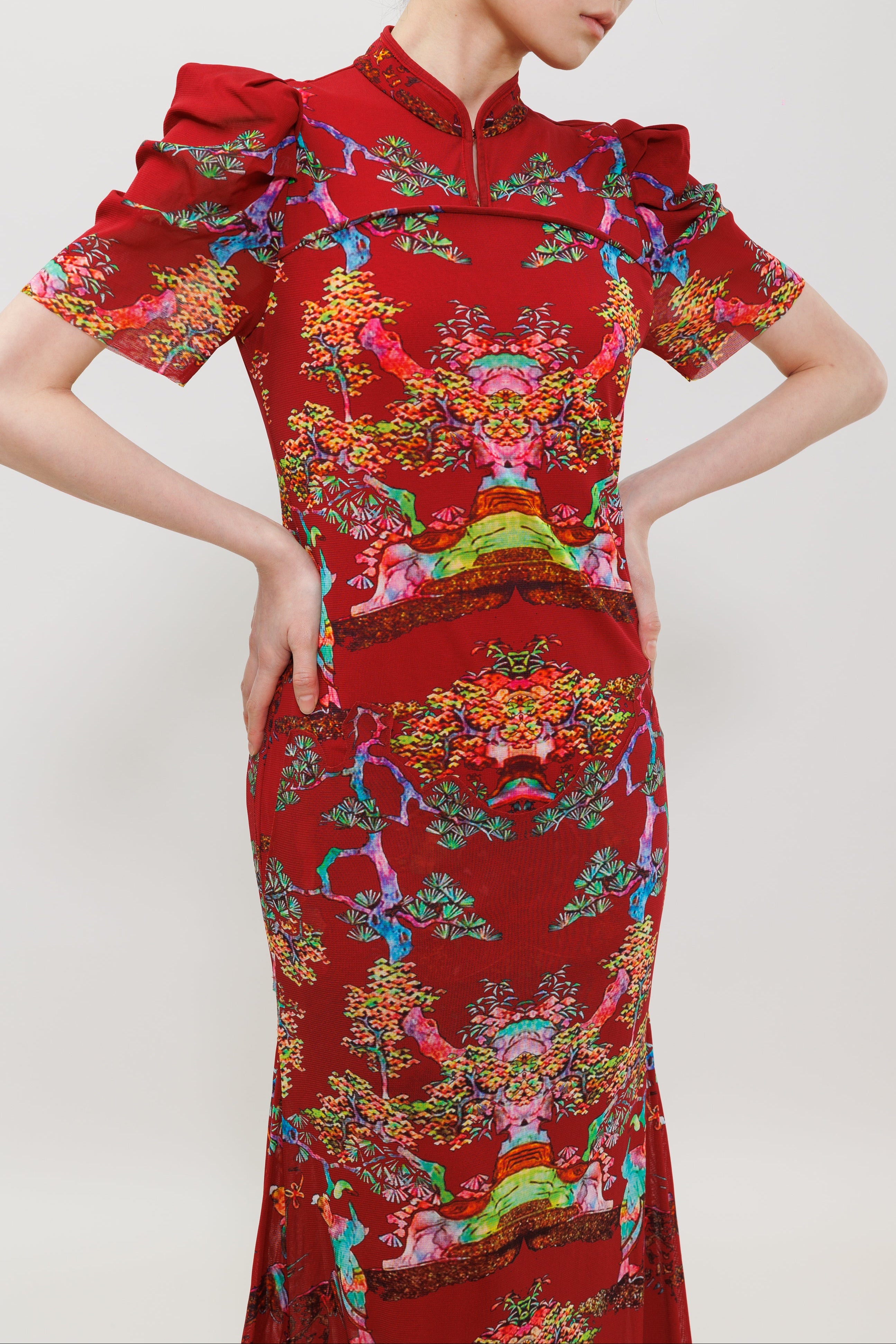 Bonsai Pearl Inlaid Print Puff Sleeve Gown